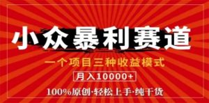 视频号最新爆火赛道,三种可收益模式,0粉新号条条原创条条热门 日入1000+-理想项目库