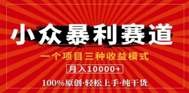 视频号最新爆火赛道，三种可收益模式，0粉新号条条原创条条热门 日入1000+-理想项目库