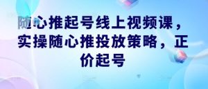 随心推起号线上视频课,实操随心推投放策略,正价起号-理想项目库