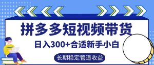 拼多多短视频带货日入300+,实操账户展示看就能学会-理想项目库