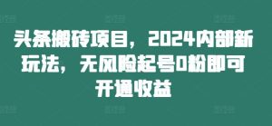 头条搬砖项目,2024内部新玩法,无风险起号0粉即可开通收益-理想项目库