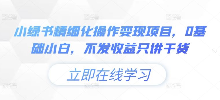 小绿书精细化操作变现项目，0基础小白，不发收益只讲干货-理想项目库