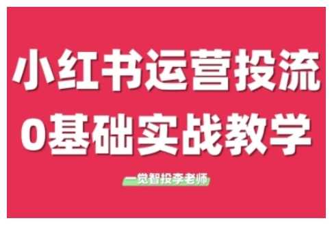 小红书运营投流，小红书广告投放从0到1的实战课，学完即可开始投放-理想项目库