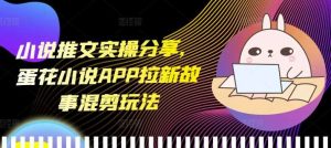 小说推文实操分享，蛋花小说APP拉新故事混剪玩法-理想项目库
