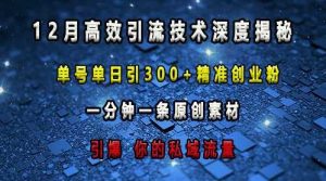 最新高效引流技术深度揭秘 ，单号单日引300+精准创业粉，一分钟一条原创素材，引爆你的私域流量-理想项目库