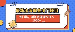 (13672期)最新出海掘金冷门项目,单号日入1000+-理想项目库
