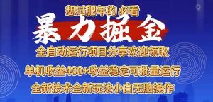 （13675期）2025暴力掘金项目，想过肥年必看！-理想项目库