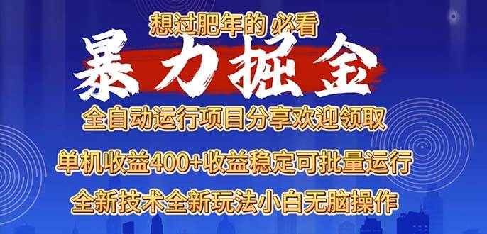 （13675期）2025暴力掘金项目，想过肥年必看！-理想项目库