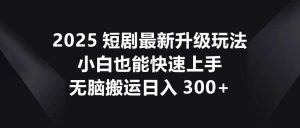 2025短剧最新升级玩法，小白也能快速上手，无脑搬运日入300+-理想项目库