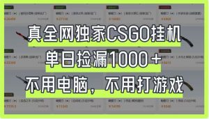 真全网独家CSGO挂机，单日捡漏1000+，不用电脑，不用养号-理想项目库