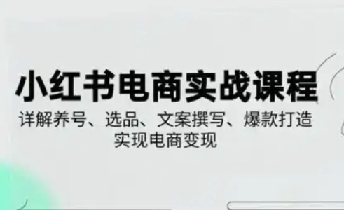 小红书从0-1实操课(2023-2025)，详解养号、选品、文案撰写、爆款打造实现电商变现-理想项目库