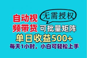 自动视频带货，可批量矩阵，单日收益500+、轻松实现睡后收益，小白可…-理想项目库