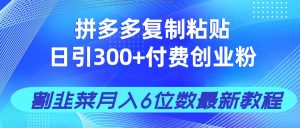 拼多多复制粘贴日引300+付费创业粉，割韭菜月入6位数最新教程！-理想项目库