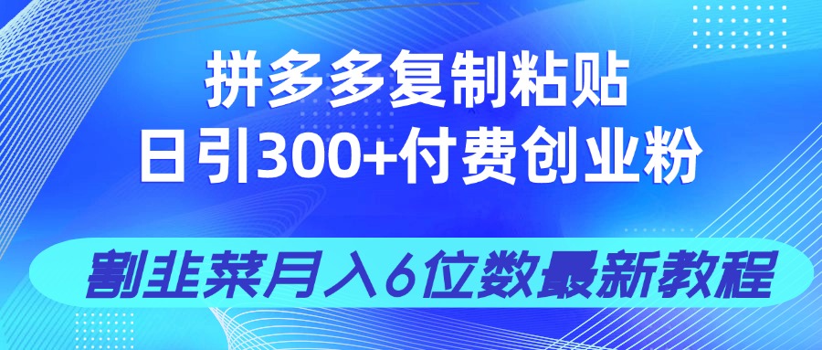 拼多多复制粘贴日引300+付费创业粉，割韭菜月入6位数最新教程！-理想项目库
