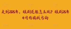 走到2025年,短剧还能怎么玩?短剧25年4月份搞钱方向-理想项目库