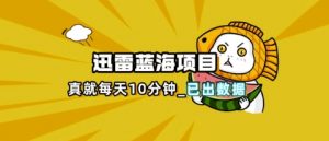 迅雷浏览器项目_真就每天忙活10分钟，完整拆解+热点把控(超详细拆解教程)-理想项目库