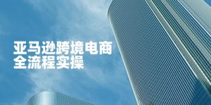亚马逊跨境电商全流程实操，教你从零开始，掌握店铺运营与广告技巧-理想项目库