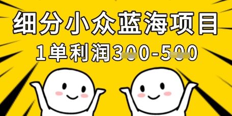 细分小众蓝海项目，一单利润3张，每月收入稳定过1w+-理想项目库