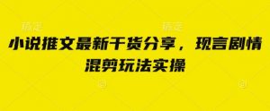 小说推文最新干货分享，现言剧情混剪玩法实操-理想项目库