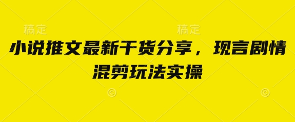 小说推文最新干货分享，现言剧情混剪玩法实操-理想项目库