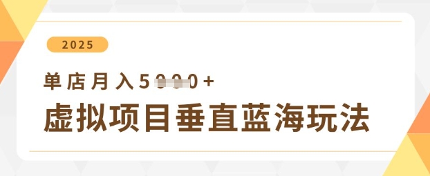 虚拟项目垂直玩法，实现单店月入5k+-理想项目库