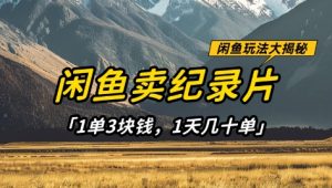 闲鱼卖纪录片1单3块钱，1天几十单，项目稳定有潜力-理想项目库