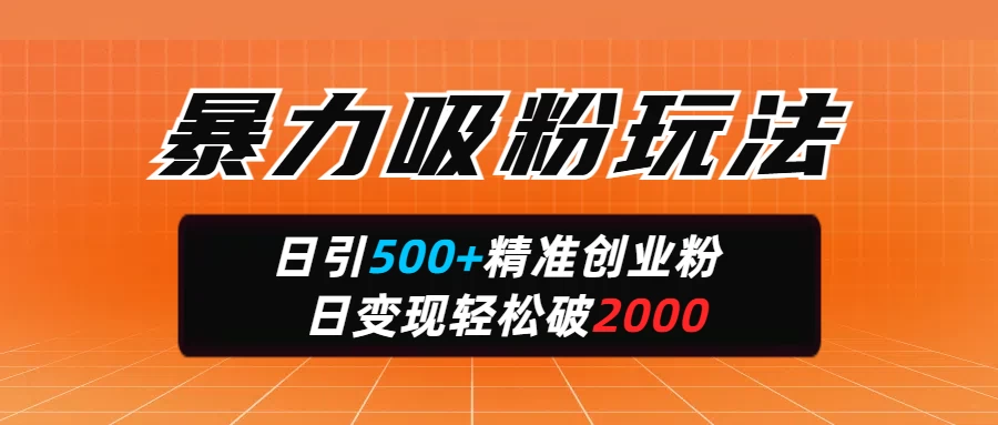 暴力吸粉玩法，日引500+精准创业粉，日变现轻松破2000-理想项目库