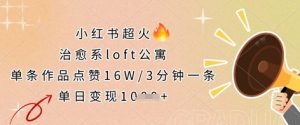 小红书超火的治愈系loft公寓，单条作品点赞16W，3分钟一条，单日变现数张-理想项目库