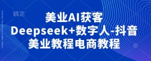 美业AI获客Deepseek+数字人-抖音美业教程电商教程-理想项目库