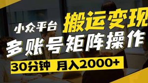 得物平台变现新蓝海！无脑复制热门视频，多账号同步运营，每天半小时躺…-理想项目库