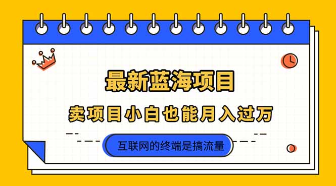 2025年最新蓝海项目，卖项目小白也能月入过万-理想项目库