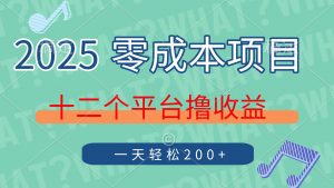 2025年零成本项目，十二个平台撸收益，单号一天轻松200+-理想项目库