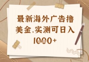 最新海外广告联盟挂机撸美金项目，实测可日入多张【揭秘】-理想项目库