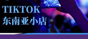 Tiktok东南亚跨境小店运营班，一门专业的TK小店运营培训课-理想项目库