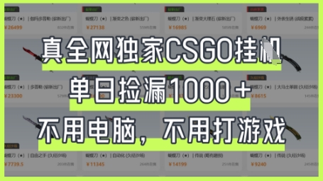 真全网独家CSGO挂G，单日捡漏1k+【揭秘】-理想项目库