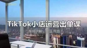 TikTok小店运营出单课，从开店选品、运营出单、发货回款，进行全流程讲解-理想项目库