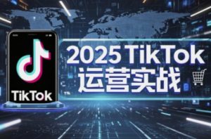 2025TikTok电商运营,掌握TikTok店铺运营核心技巧,实现低成本高转化-理想项目库