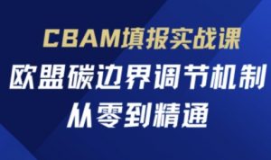 CBAM填报实战课,欧盟碳边界调节机制,从零到精通-理想项目库