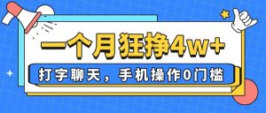 一个月狂挣4w+，打字聊天，手机操作0门槛，新手小白都能做！-理想项目库