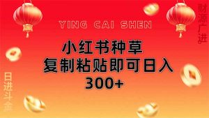 小红书种草无脑操作复制粘贴即可日入300+-理想项目库