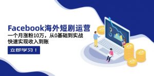 Facebook海外短剧运营:一个月涨粉10万,从0基础到实战,快速实现收入到账-理想项目库