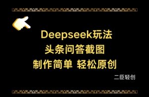 Deepseek头条问答截图，制作简单，轻松原创-理想项目库