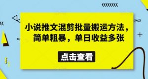 小说推文混剪批量搬运方法,简单粗暴,单日收益多张-理想项目库