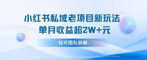 小红书私域项目新玩法，单月变现过W+-理想项目库