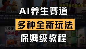 AI养生赛道，多种全新玩法，保姆级教程拆解-理想项目库