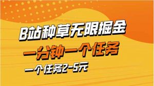 b站种草暴力掘金，一分钟一个任务，一个任务2-5元-理想项目库