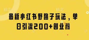 最新小红书野路子玩法，单日引流200+创业粉-理想项目库