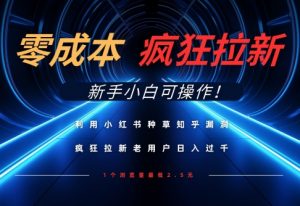 利用小红书种草知乎漏洞，零成本疯狂拉新日入数张，新手小白可操作-理想项目库