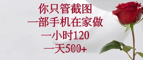 你只管截图，一部手机在家做，苹果安卓都可以，一小时120，一天5张+【揭秘】-理想项目库