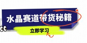 水晶赛道带货秘籍，国学结合、短视频起号、拍摄技巧、直播话术等内容-理想项目库
